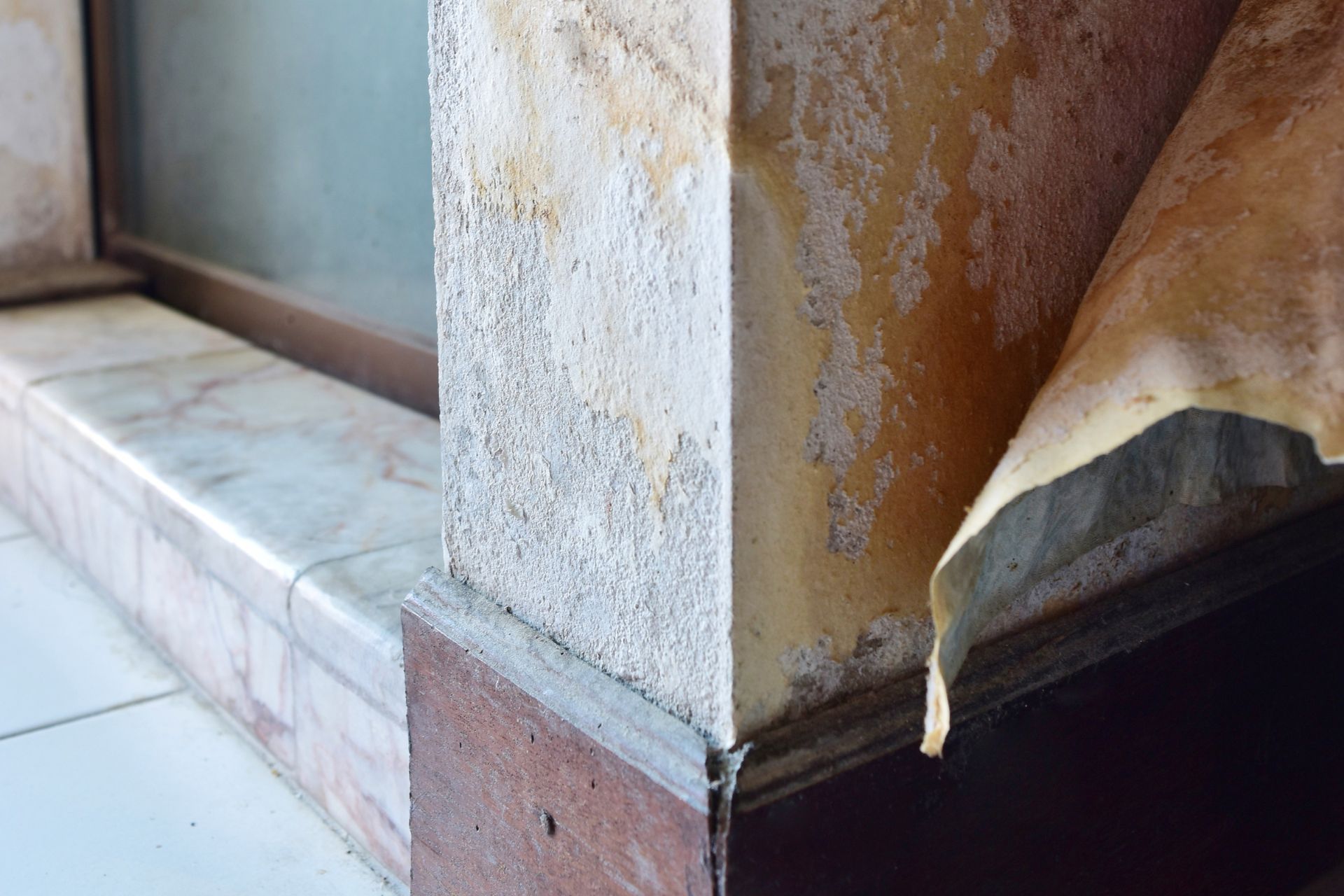 Mold