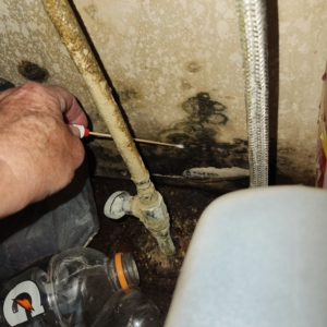 Mold under kitchen sink